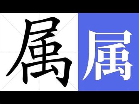 屬意思|屬的意思,屬的解释,屬的拼音,屬的部首,屬的笔顺